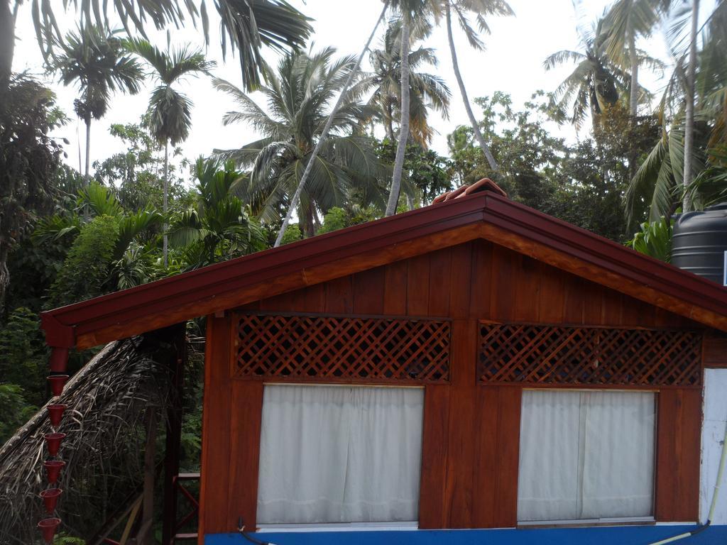 Gold Ocean House Διαμέρισμα Dikwella Εξωτερικό φωτογραφία